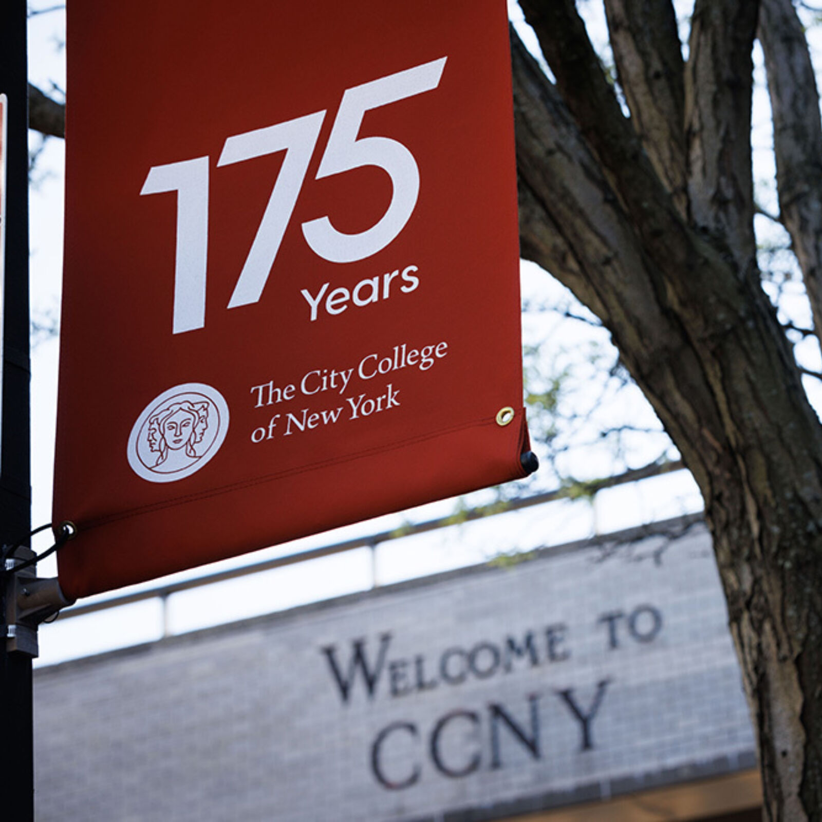 Colin Powell School CCNY 12
